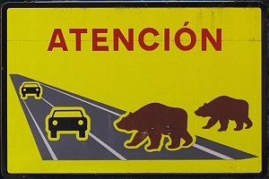 Bear road-sign © Teresa Farino